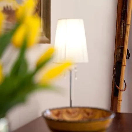 Panorama Gor - Centrum Miasta Z Widokiem Na Szrenice * Szklarska Poręba